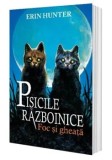 Foc si gheata. Seria Pisicile razboinice. Volumul 2/Erin Hunter