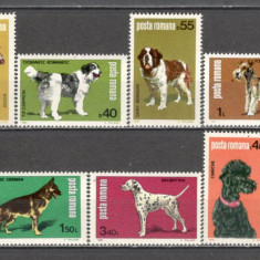 Romania.1981 Expozitia canina-Rase de caini DR.432