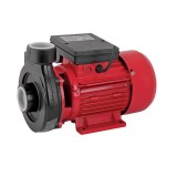 Pompa de apa centrifugala de suprafata Raider, 750 W, 2900 rpm, 20 m, 12600 l/h