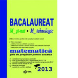 Matematica - Bacalaureat M2 2013