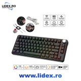 Tastatura Gaming Mecanica Wireless WANTY&reg; WLF T40, 75%, 80 Taste, RGB 16.8 Milioane Culori, Tri-Mode 2.4GHz, Bluetooth-USB-C, Hot-Swap 3-5 Pin, Bluebe