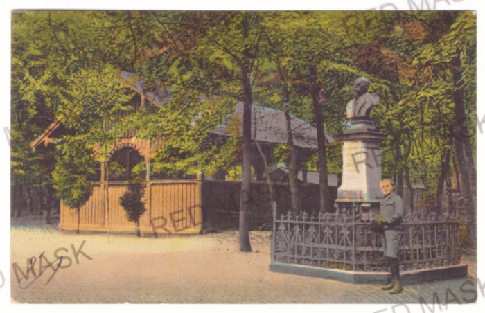 5553 - DETTA, Timis, Park, statue, Romania - old postcard - used - 1931