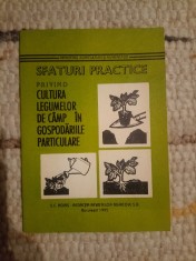 Sfaturi practice privind cultura legumelor de c&acirc;mp &icirc;n gospodăriile particulare