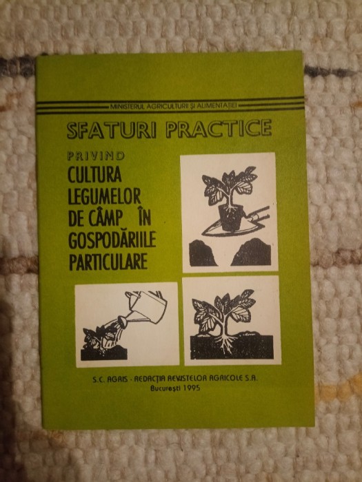 Sfaturi practice privind cultura legumelor de c&acirc;mp &icirc;n gospodăriile particulare