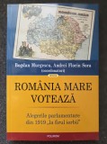 ROMANIA MARE VOTEAZA. Alegerile parlamentare din 1919 - Murgescu, Sora