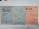 rare 3 numere Scoala Carasului 1930, 1935, 1936, Felix Weiss, Oravita