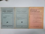 Rare 3 numere Scoala Carasului 1930, 1935, 1936, Felix Weiss, Oravita