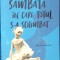 SAMBATA IN CARE TOTUL S-A SCHIMBAT-SOPHIE VAN LLEWYN-330595
