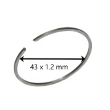 Segmenti 43 x 1.2 mm pentru drujba, motocoasa, PowerX