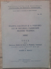 Soarta calciului si a fosforului in decursul fabricarii branzei telemea/ 1936 foto