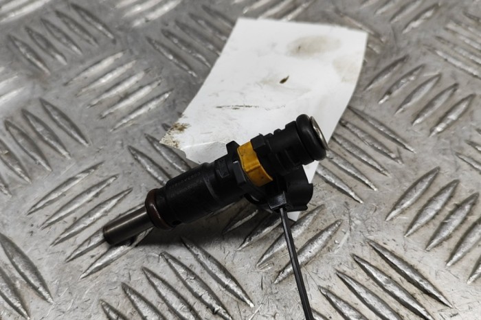 Injector de combustibil CITRO&Euml;N C3 II 2012 OEM: V752817680,7528176 | 28446138