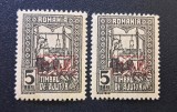 Rom&acirc;nia 1916 &ndash; 2 x Timbru de Ajutor 5 Bani &bdquo;Regina la războiul de țesut&rdquo; 2 Timbre MNH - Cod: -SW13