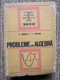 PROBLEME DE ALGEBRA - C. Cosnita, F. Turtoiu