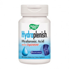Hydraplenish Plus MSM, 60cps, Nature's Way
