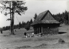 Cabana de munte lemn Romania comunista poza veche mare foto