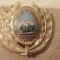 QW14 - Emblema militara / cuc - uscat - comunism - piesa de colectie