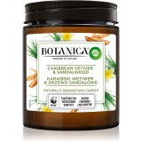 Air Wick Botanica Caribbean Vetiver &amp; Sandalwood lum&acirc;nare parfumată 205 g