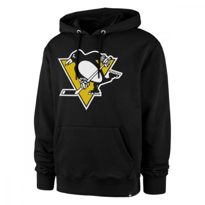 Pittsburgh Penguins hanorac de bărbați cu glugă Imprint Helix Pullover Hood - L foto