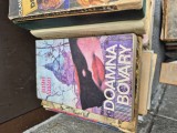 Doamna Bovary vintage