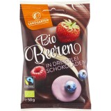 Landgarten Fructe de Padure Liofilizate in Ciocolata Bio - Afine, Zmeura, Capsuni 50g