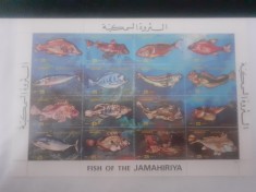 Libia-Pesti ,fauna marina- bloc,nestampilat MNH foto
