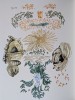 Jacques Herold - Flori (luna Septembrie) - Cromolitografie semnata pe hartie Rives Arches, 1985