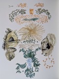 Jacques Herold - Flori (luna Septembrie) - Cromolitografie semnata pe hartie Rives Arches, 1985