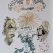 Jacques Herold - Flori (luna Septembrie) - Cromolitografie semnata pe hartie Rives Arches, 1985