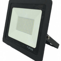 Proiector LED 10W IP66 – 220V