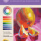 Special Subjects: Basic Color Theory: An Introduction to Color for Beginning Artists