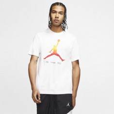 Tricou Nike M JORDAN LGC AJ11 SS TEE 1 foto