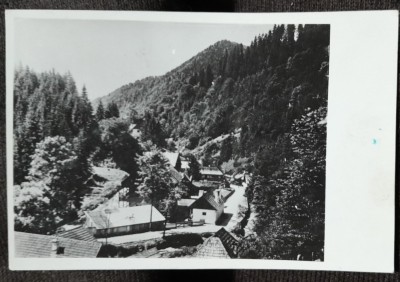 Carte poastala, localitatea Radna, judetul Arad, 1943 foto