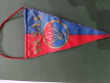Fanion Club Vasas Budapesta -Ungaria