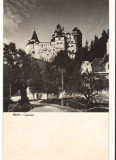 CPIB 15964 CARTE POSTALA - BRAN. CASTELUL, RPR, Circulata, Fotografie