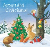 Asteptand Craciunul - Editura Univers Enciclopedic