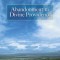 Abandonment to Divine Providence