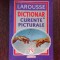LAROUSSE DICTIONAR DE CURENTE PICTURALE - TRADUCERE IRINA MIHAILESCU DE HILLERIN (CU DEDICATIA TRADUCATOAREI PENTRU MIOARA AVRAM)