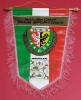 Fanion fotbal - WKS SLASK WROCLAW (Polonia)