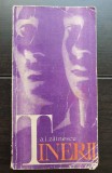 Tinerii - A. I. Zăinescu