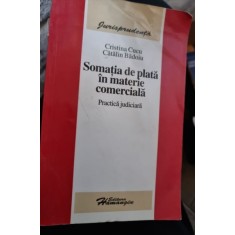 Cristina Cucu, Catalin Badoiu - Somatia de plata in materie comerciala