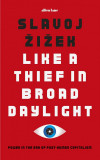 Like A Thief In Broad Daylight | Slavoj Zizek