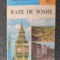 RAZE DE SOARE - Adina Arsenescu