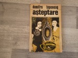 Asteptare du Dumitru Tepeneag