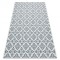 Covor sisal Color 19246/969 Flori alb, 200x290 cm