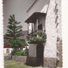 FA20-Carte Postala- SPANIA - Santa Cruz de Tenerife, Typic Balcony, necirculata