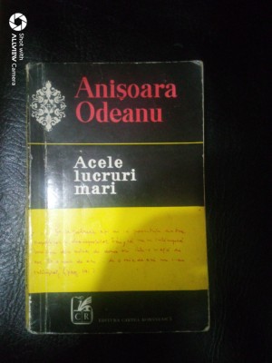 Acele lucruri mari-Anisoara Odeanu foto