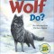 What Will the Wolf Do?: An Interactive Picture Book