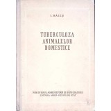 TUBERCULOZA ANIMALELOR DOMESTICE-ION BAIESU-346452