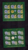 Romania 2013 Flora Ceasul Florilor 4 Minicoli 8 timbre + vinieta MNH LP 1966