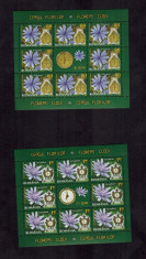 Romania 2013 Flora Ceasul Florilor 4 Minicoli 8 timbre + vinieta MNH LP 1966 foto